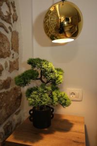 Fotografie z fotogalerie ubytování Apartman in Centar Studio MOZZIRA Free breakfast v destinaci Zadar