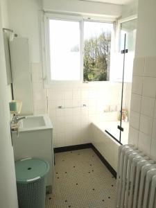 een badkamer met een wastafel, een toilet en een raam bij Maison et jardin à 5 min de Vannes in Meucon