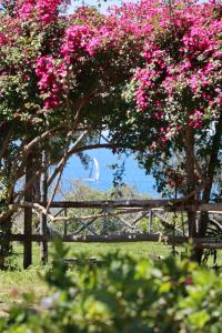 un albero con fiori rosa e una recinzione di legno di Villa Puolo - With Private Sea Access a Sorrento
