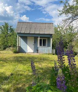 een klein huis in een veld met paarse bloemen bij Grandma's summer house in Ludza