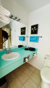 een badkamer met een wastafel en een toilet bij The Sierra Motel in Traverse City