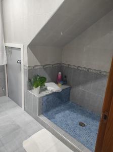 a bathroom with a shower with a tile floor at A Eira de Salvador in Portas