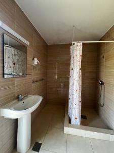 Koupelna v ubytování Vila Seimos