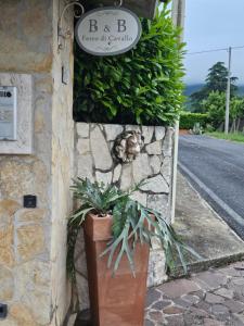 um sinal na lateral de um edifício com um vaso de plantas em B&B Ferro di Cavallo em Tivoli