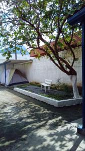 un banco blanco sentado bajo un árbol junto a una tienda en Hostel Pé na praia - Quartos e Barracas Camping en Caraguatatuba