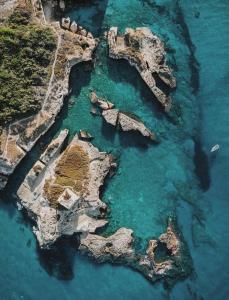 Φυσικό τοπίο κοντά σε αυτό το διαμέρισμα