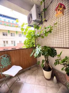 提比里斯的住宿－T2&T3 Apartments LEVANTO，阳台配有椅子和墙上的植物