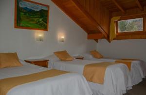 a room with three beds in a room at Apart Hotel del Pellin in San Martín de los Andes