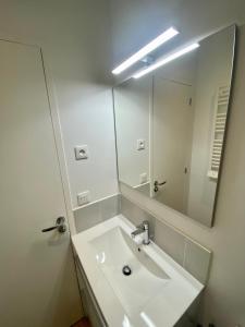 ein Badezimmer mit einem Waschbecken und einem großen Spiegel in der Unterkunft L'échappée belle d'Albi in Albi