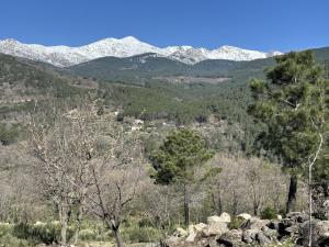 Billede fra billedgalleriet på El Encuentro - Casa Rural - i Arenas de San Pedro