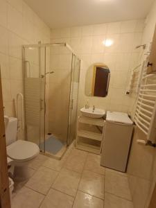 La salle de bains est pourvue d'une douche, de toilettes et d'un lavabo. dans l'établissement Apartamenty z ogrodem 2 typu studio, à Mrągowo