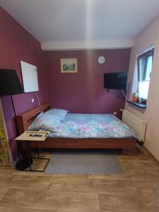 a bedroom with a bed and a table and a tv at Apartamenty z ogrodem 2 typu studio in Mrągowo