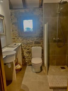 y baño con aseo, lavabo y ducha. en Domaine de Berducq en Monein