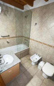 W łazience znajduje się umywalka, toaleta i prysznic. w obiekcie Apart Hotel del Pellin w mieście San Martín de los Andes