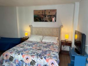 a bedroom with a bed and a flat screen tv at Hostal Estadio Nacional in Santiago