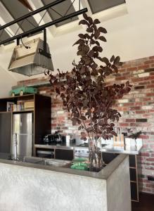a vase of flowers on a counter in a kitchen at T h e L o f t - Stunning private apartment in Perth +5 photos