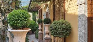 a garden with potted plants in pots next to a building at Villa Costanza Appartamento con giardino in Magreglio