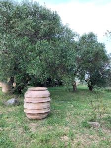 Giardino di Agriturismo Poggialberi