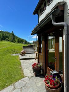 Zahrada ubytování Hotel Miramonti
