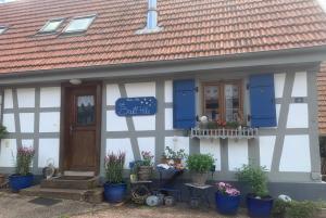uma casa com persianas azuis e plantas em frente em Chambres d'hôtes "La Bouill'hôte" em Langensoultzbach