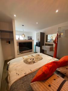 a bedroom with a large bed and a kitchen at Sleeping Bio Tea in Thionville