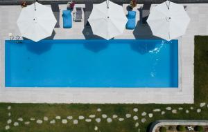 Gallery image of Eleonas View Suites in Eleftheres