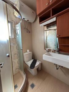 a bathroom with a shower and a toilet and a sink at K. Villa - Golden Beach in Chrysi Ammoudia +10 photos