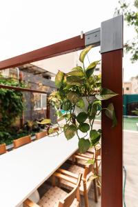 Patio nebo venkovní prostory v ubytování Suite 2 at Palazzo Seraphim Boutique living in St Julians + 17 fotografií