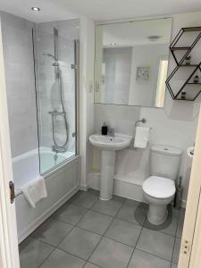uma casa de banho com um WC, um lavatório e um chuveiro em Liberty Garden (Luxury 1bd Apt) em Portishead