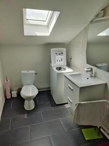 a bathroom with a toilet and a sink and a window at L'ancre de la Seille in Château-Salins