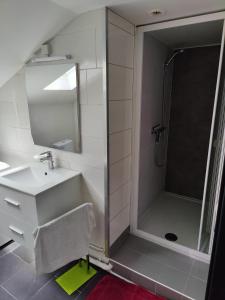 a bathroom with a sink and a shower at L'ancre de la Seille in Château-Salins