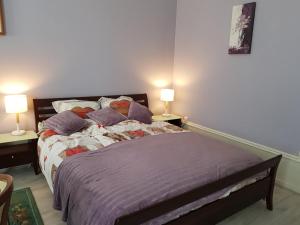 1 dormitorio con 1 cama con 2 mesas y 2 lámparas en Tradition Plombières en Plombières-les-Bains