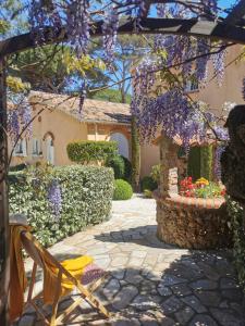 un jardín con glicinas púrpuras colgando de una pérgola en Lou Pitchoun, en Saint-Aygulf