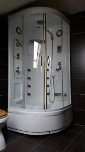W łazience znajduje się przeszklony prysznic i toaleta. w obiekcie Vila De la Lugas w mieście Oradea