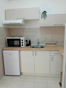 Kuhinja ili čajna kuhinja u objektu NINA 3 AKVA PARK adr Stevana Ivanovica 1