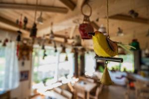 拜恩埃森施泰因的住宿－Pension Arberwald，厨房里挂着钩子上的香蕉