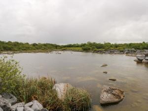 Paesaggio naturale nelle vicinanze della casa vacanze