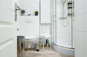 a white bathroom with a shower and a toilet at Wiesenweg W11 B in Laboe