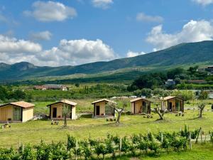 a group of cottages in a field with mountains at Fishta Guesthouse - Mrizi i Zanave in Fishtë