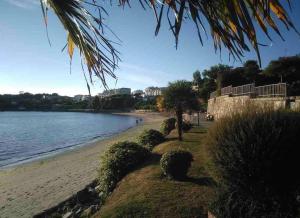 a beach with a tree and the water at Miño Centro in Miño