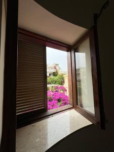 Zahrada ubytování Villa Xiwan