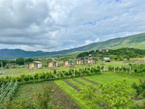 eine Reihe von Häusern auf einem Feld mit Bergen im Hintergrund in der Unterkunft Fishta Guesthouse - Mrizi i Zanave in Fishtë