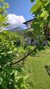 a garden with a house in the background at Appartment Lodged Mamma Maria in Mattarello