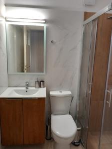 a bathroom with a toilet and a sink and a mirror at Cozy Karystos Apartment in Karistos
