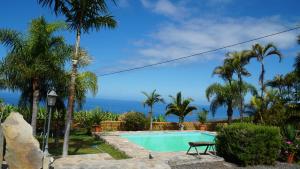 a pool with palm trees and the ocean in the background at Casa Rural Los Padres A in Tijarafe