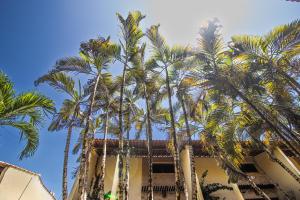 een groep palmbomen voor een gebouw bij Solar Pipa - Solar da Gameleira Flats in Pipa