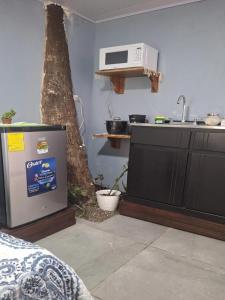 a kitchen with a refrigerator and a microwave at Torito's room in Carrillo