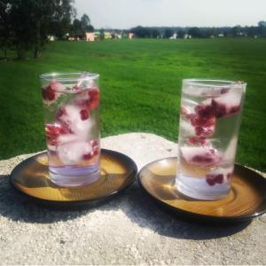 two glasses ofrozen berries on plates on a table at Jim Corbett Home stay in Jhirna