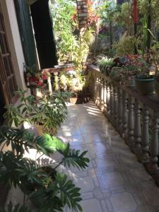 un jardín con plantas en una pasarela en Maliga inn, en Gampola