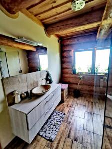 ein Badezimmer mit einem Waschbecken und einer Holzwand in der Unterkunft Klimatyczny dom z bali in Powidz